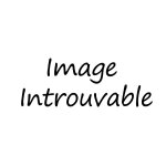 R�cup�rateur d'eau de pluie tonneau vino 400 l - garantia