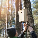 Relaxdays nichoir a oiseaux en bois maison oiseaux a suspendre msanges rouge - gorge pinson