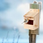Relaxdays nichoir a oiseaux en bois semi - ouverte maison oiseaux a suspendre msange pinson