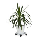 Relaxdays porte plantes a roulettes avec freins support pot de fleurs rond en métal Relaxdays porte plantes a roulettes avec freins support pot de fleurs rond en métal
