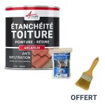 Rparation tanchit tuile gouttire cheneau trou fissure souche chemine ardoise arcafilm pack brun ...