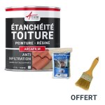Rparation tanchit tuile gouttire cheneau trou fissure souche chemine ardoise arcafilm pack gris ...