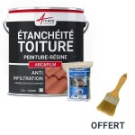 Rparation tanchit tuile gouttire cheneau trou fissure souche chemine ardoise arcafilm pack gris ...