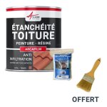 Rparation tanchit tuile gouttire cheneau trou fissure souche chemine ardoise arcafilm pack tuile ...