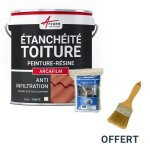 Rparation tanchit tuile gouttire cheneau trou fissure souche chemine ardoise arcafilm pack pierre ...