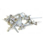Rivet alu / acier t. pl. 4x6 (100)
