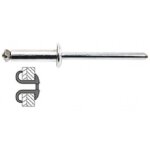 Rivet graf ou eclates 4, 8x12(50)