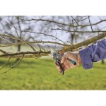 S�cateur expertcut