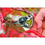 S�cateur de jardin professionnel, s�cateur ciseaux de jardin, coupe branche avec gants de jardinage, ...