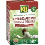 Semences gazon kb kregfac100 - super regarnissant 2 kg - pour terrains ombragés - germination rapide ... Semences gazon kb kregfac100 - super regarnissant 2 kg - pour terrains ombragés - germination rapide ...