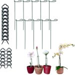 Sept - 10 pièces anneau de support de plantes de jardin grimpantes et fleurs, tuteurs plante de métal ... Sept - 10 pièces anneau de support de plantes de jardin grimpantes et fleurs, tuteurs plante de métal ...