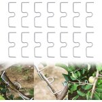 Sept - lot de 14 écarteurs de branches de 10 cm pour arbres fruitiers, support de grille d'écartement ... Sept - lot de 14 écarteurs de branches de 10 cm pour arbres fruitiers, support de grille d'écartement ...