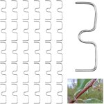 Sept - lot de 30 pinces  branches de 10 cm pour arbres fruitiers, support de grille d'cartement pour ...