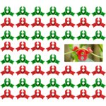 Sept - ® lot de 50 clips pour plantes - accessoires de croissance - faible stress - pour plantes de tomates ... Sept - ® lot de 50 clips pour plantes - accessoires de croissance - faible stress - pour plantes de tomates ...