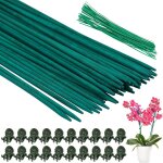 Sept - 50 pièces tuteurs pour plantes 40 cm tuteur bambou vert tuteur tomates de jardin bâtons de support ... Sept - 50 pièces tuteurs pour plantes 40 cm tuteur bambou vert tuteur tomates de jardin bâtons de support ...