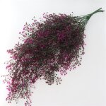 Simulation plante verte tenture murale fleur vigne panier suspendu plante mariage église décoration de ... Simulation plante verte tenture murale fleur vigne panier suspendu plante mariage église décoration de ...