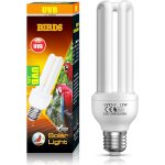 Sjzg - 23w uvb 5. 0 lampe pour oiseaux e27, lampe fluorescente compacte 5. 0 uvb ampoule pour oiseaux, ... Sjzg - 23w uvb 5. 0 lampe pour oiseaux e27, lampe fluorescente compacte 5. 0 uvb ampoule pour oiseaux, ...