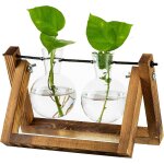 Sjzg - station de propagation pour plantes amélioration de la jardinière de vase a ampoule avec support ... Sjzg - station de propagation pour plantes amélioration de la jardinière de vase a ampoule avec support ...