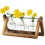 Sjzg - station de propagation pour plantes mise a niveau de l'ampoule vase planter avec support en bois ... Sjzg - station de propagation pour plantes mise a niveau de l'ampoule vase planter avec support en bois ...