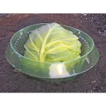 Snail protection ring, set of 5