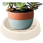 Soucoupe pour pot de fleurs, bol de drainage pour plantes succulentes, support de pot antid�rapant multifoncti ...