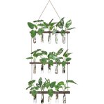 Station de propagation murale  suspendre avec support en bois  3 niveaux, 15 tubes  essai, vase de ...