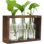 Stations de propagation de plantes, terrarium de bureau en verre avec support en bois, pot de fleurs ...