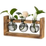 Station de propagation en verre pour maison: vintage terrarium plante avec cadre en bois pour int�rieur ...