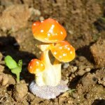 Statue de champignon miniature en r�sine cr�ative, micro paysage de champignon, bonsa� chinois, ornement ...