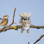 Statue de jardin en rsine, mangeoire a oiseaux, sculpture d'cureuil, conteneur de graines sauvages ...