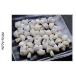 Statue de mini champignon en agate blanche, labradorite, quartz, topaze, dcoration d'aquarium en pierre ...