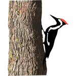Statue d'oiseau de jardin, ornement de jardin en mtal de pic - bois, statue d'oiseau de jardin extrieur, ...