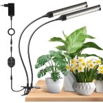 Subzonal - lot de 2 pièges à guêpes - effet à 360 - pour l'extérieur - répulsif contre les guêpes - pour ... Subzonal - lot de 2 pièges à guêpes - effet à 360 - pour l'extérieur - répulsif contre les guêpes - pour ...