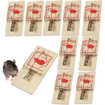 Subzonal - 20 pcs pic anti pigeon plastique 8. 6m pointes d'oiseaux en plastique pique anti pigeon fenetre ...