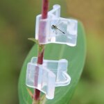 Subzonal - piges a taupes x4, campagnols, rats taupier. anti taupe. accessoires contre les rongeurs ...