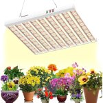 Subzonal - la plaine chassart - terreau rempotage 20l - solution spcifique pour plantes en pot - toutes ...
