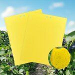 Subzonal - poteau de mousse, support de bâtons de plantes extensibles, piquets de plantes pour plante ... Subzonal - poteau de mousse, support de bâtons de plantes extensibles, piquets de plantes pour plante ...