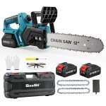 Subzonal - seesii trononneuse  batterie10000mah, 12 pouces trononneuse electrique sans fil, avec injecteur ...