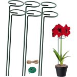 Subzonal - tuteur plante bâtons de support de plantes - lot de 30 30cm piquets de plantes résistants ... Subzonal - tuteur plante bâtons de support de plantes - lot de 30 30cm piquets de plantes résistants ...