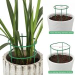 Support de plantes a empiler, support de fleurs pour arrangement de serre, support de tige, outil de ...