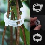 Support de plante r�utilisable, 50 / 100 / 500 / 1000 pi�ces, clips de jardin pour vignes, l�gumes, tomates, ...