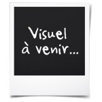 Taille - haie thermique - fieldmann - 2 temps - coupe 51 cm - largeur 24 mm