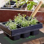 Tapis thermique de germination de graines, 1 pi��ce, mod��le chauffant 50x25 cm, 110 v, 220 v, 18 w, ...