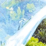 Tenax film de protection en plastique transparent - 2 x 10 m