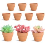Teppe - lot de 10 petits pots en terre cuite - 5 cm - mini pots en terre cuite - pour plantes succulentes ... Teppe - lot de 10 petits pots en terre cuite - 5 cm - mini pots en terre cuite - pour plantes succulentes ...
