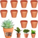Teppe - lot de 10 pots en terre cuite de 10 x 8 cm, petits pots en argile avec trou de drainage, mini ... Teppe - lot de 10 pots en terre cuite de 10 x 8 cm, petits pots en argile avec trou de drainage, mini ...