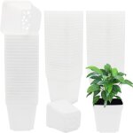 Teppe - lot de 100 pots de fleurs carrés en plastique - 7 cm - blanc Teppe - lot de 100 pots de fleurs carrés en plastique - 7 cm - blanc
