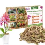 Teppe - 100g sphaigne pour plante naturelle compress sphaigne pour orchides mlange pour pot - pour ...