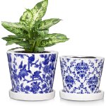 Teppe - lot de 2 pots de fleurs ronds en cramique avec trous de drainage et soucoupes - petit pot en ...