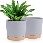 Teppe - lot de 2 pots de plantes 25. 4cm, pots pour plantes d'intérieur avec trous de drainage et base ... Teppe - lot de 2 pots de plantes 25. 4cm, pots pour plantes d'intérieur avec trous de drainage et base ...
